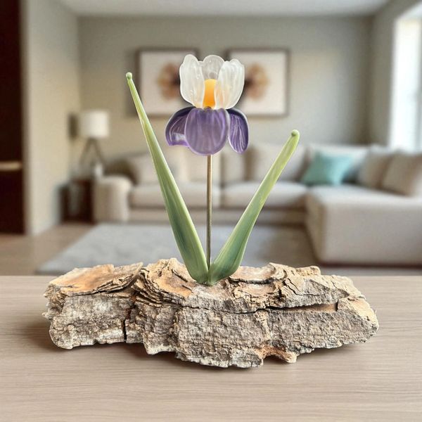 White and purple glass iris