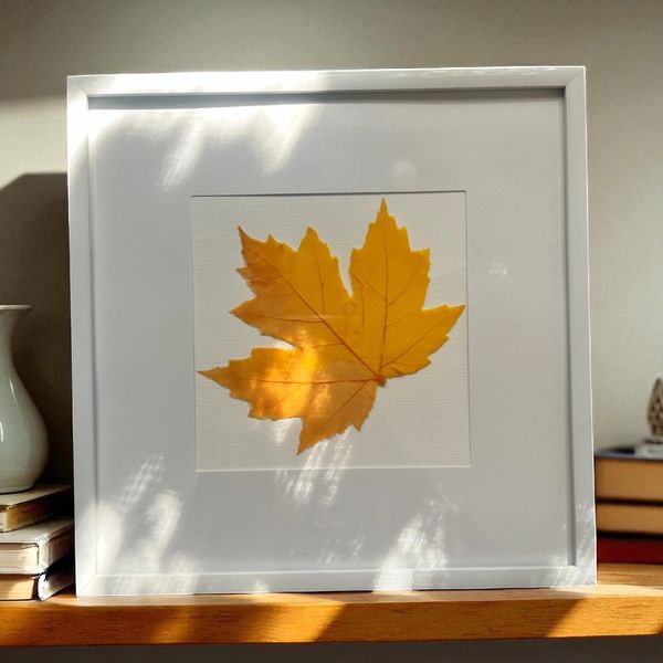 Framed autumn glass leaf artwork casting soft shadows on a wooden shelf. Made by Canadian glass artist- Krystal Jones