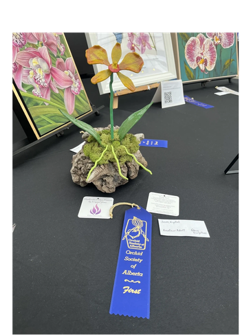 Glass orchid sculpture awarded a blue first place ribbon from the orchid society of Alberta