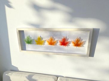 5 colourful glass maples leafs in a frame