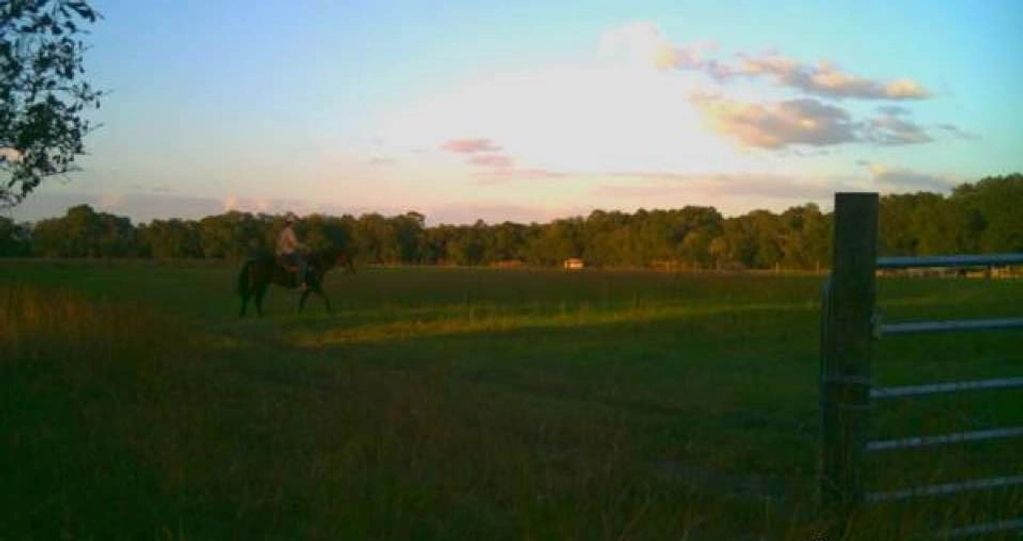 JT and Charlie Brown taking a walk around checking fences