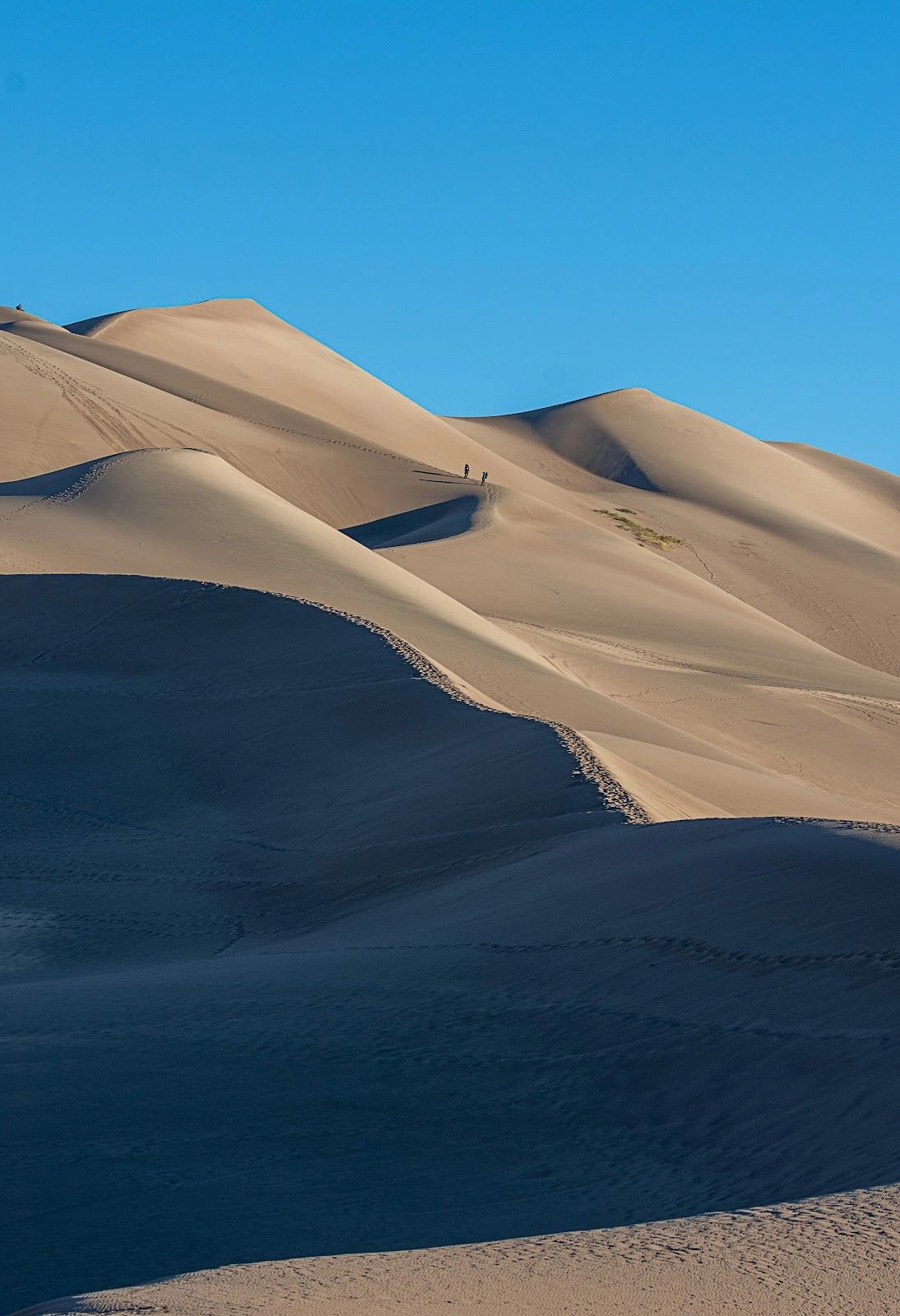 //img1.wsimg.com/isteam/ip/79e8427a-900d-4d39-a2b0-7cb86709265a/Sand%20Dune%20Climbers%20-%20Kristin%20Wilson.jpg/:/cr=t:0%25,l:0%25,w:100%25,h:100%25/rs=w:1300,h:800