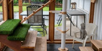 Cozy enclosed patio with cat furniture and seating.