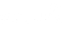 Robellini Construction