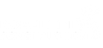 Robellini Construction