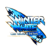 Winter White Car Wash & Detail