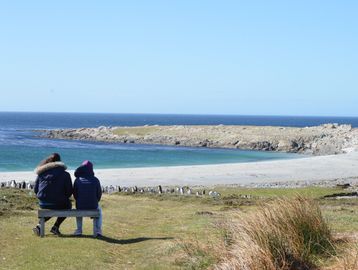 falkland islands penguins tours