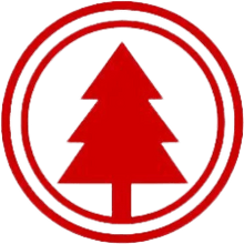 Precision Tree Care