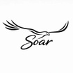 Soar Venture Partners LLC