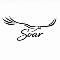 Soar Venture Partners LLC