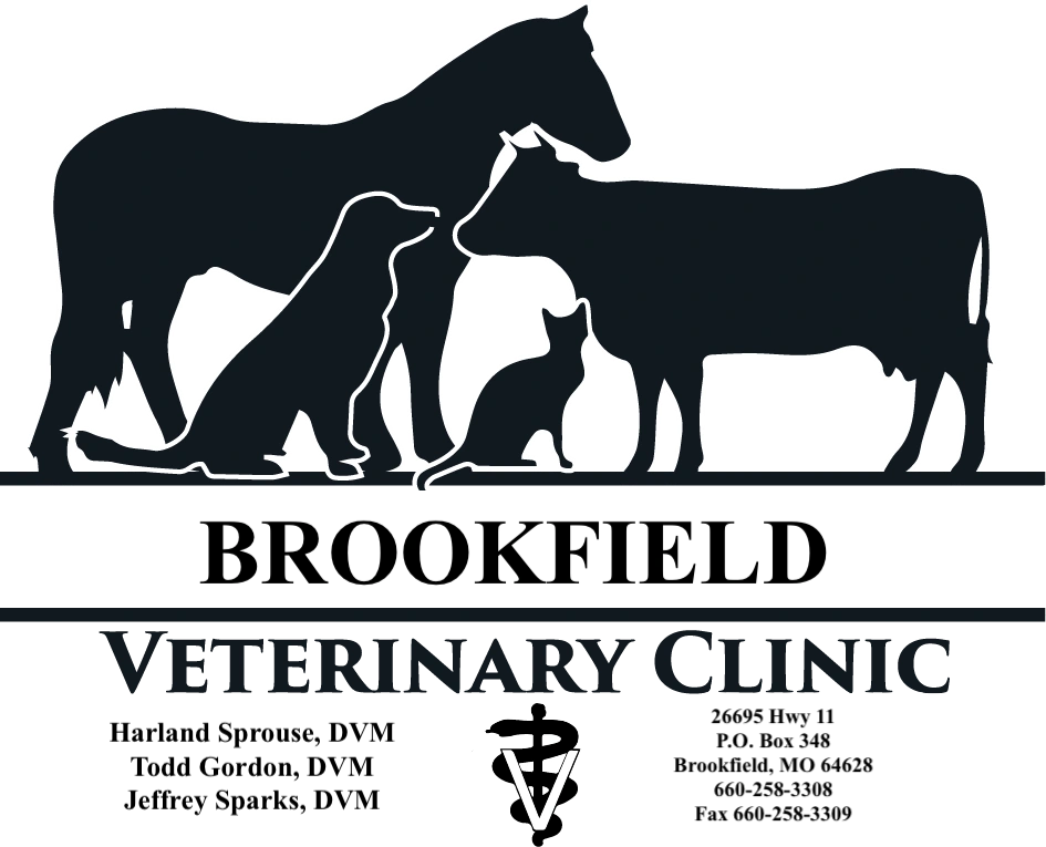 OUR VETERINARIANS Brookfield Veterinary Clinic