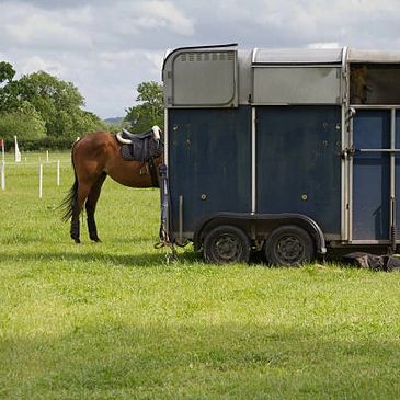 Horsebox Training