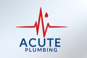 Plumbing & Water Heating Service