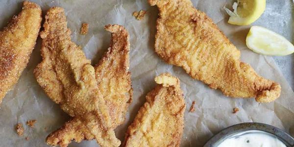 deep fried striped bass from lake texoma