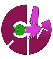 Collective Visions Community Program,LLC