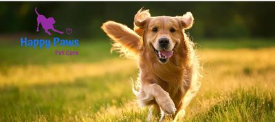 Happy Golden Retriever running joyfully in sunlit grass with Happy Paws Pet Care logo.