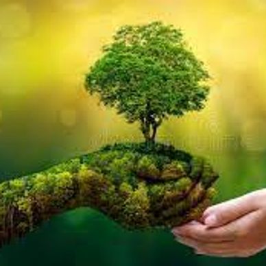 Hands nurturing a small tree symbolizing care for nature.