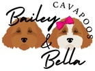 Bailey & Bella Cavapoos
