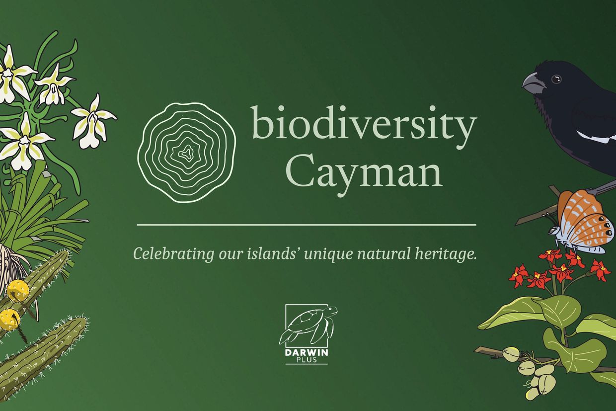 Biodiversity Cayman promoting natural heritage with wildlife illustrations.