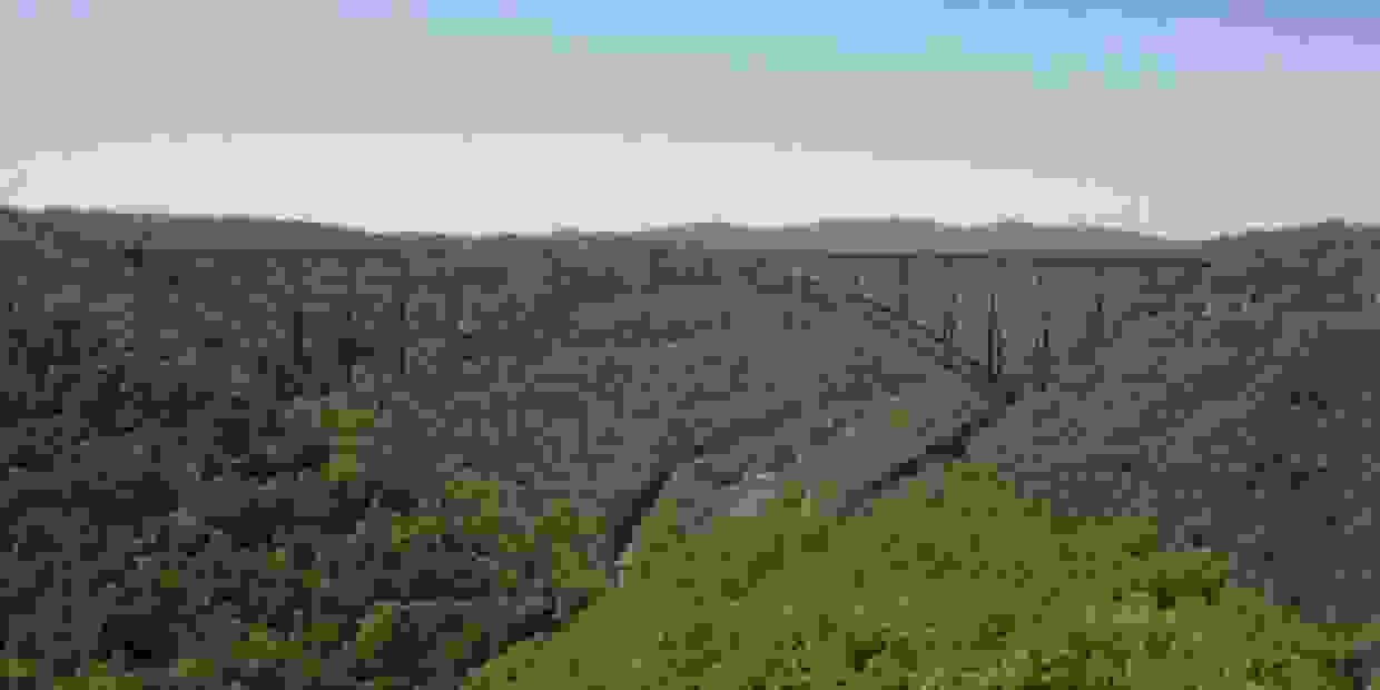 mountain-view-pet-crematory