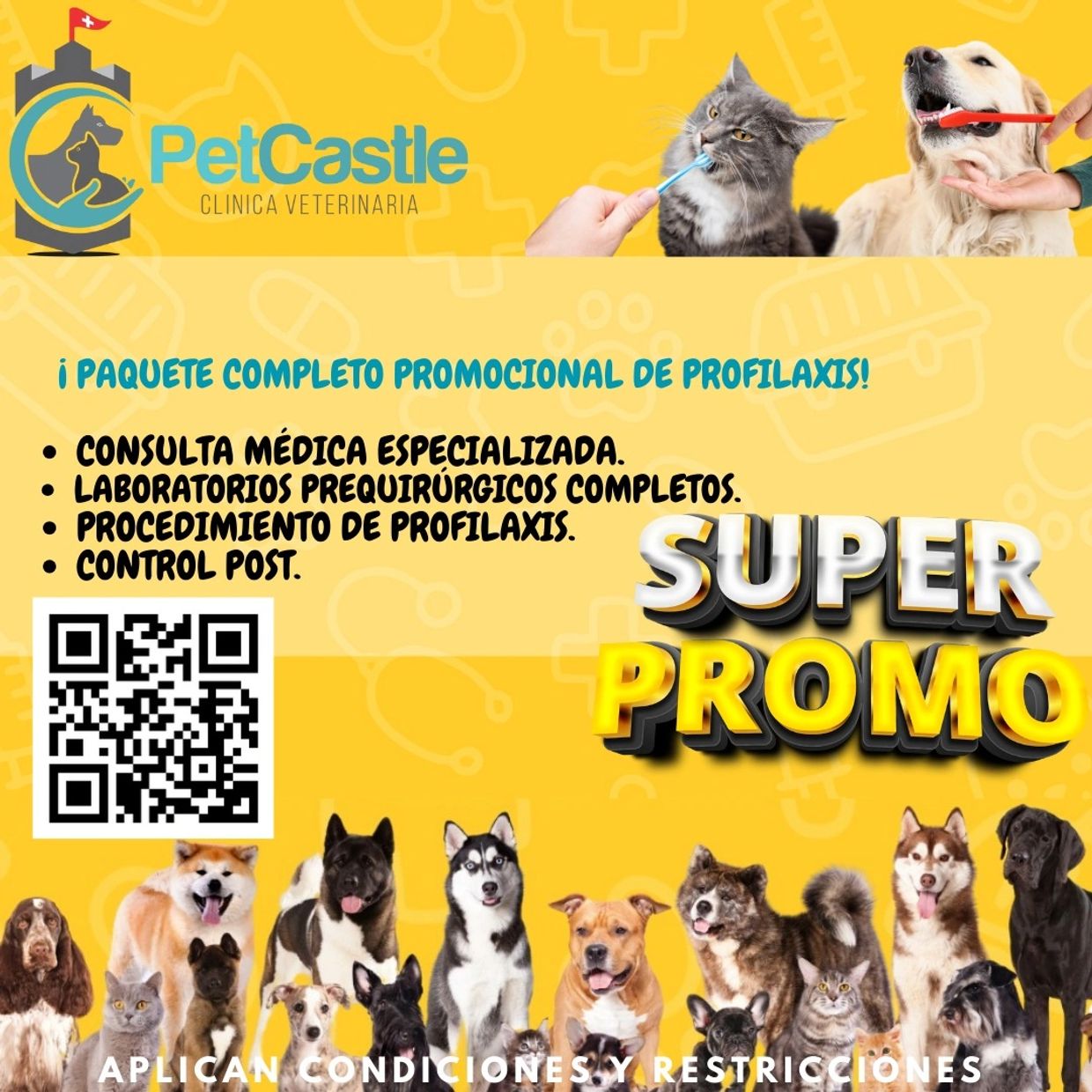 Profilaxis Canina
Profilaxis Felina