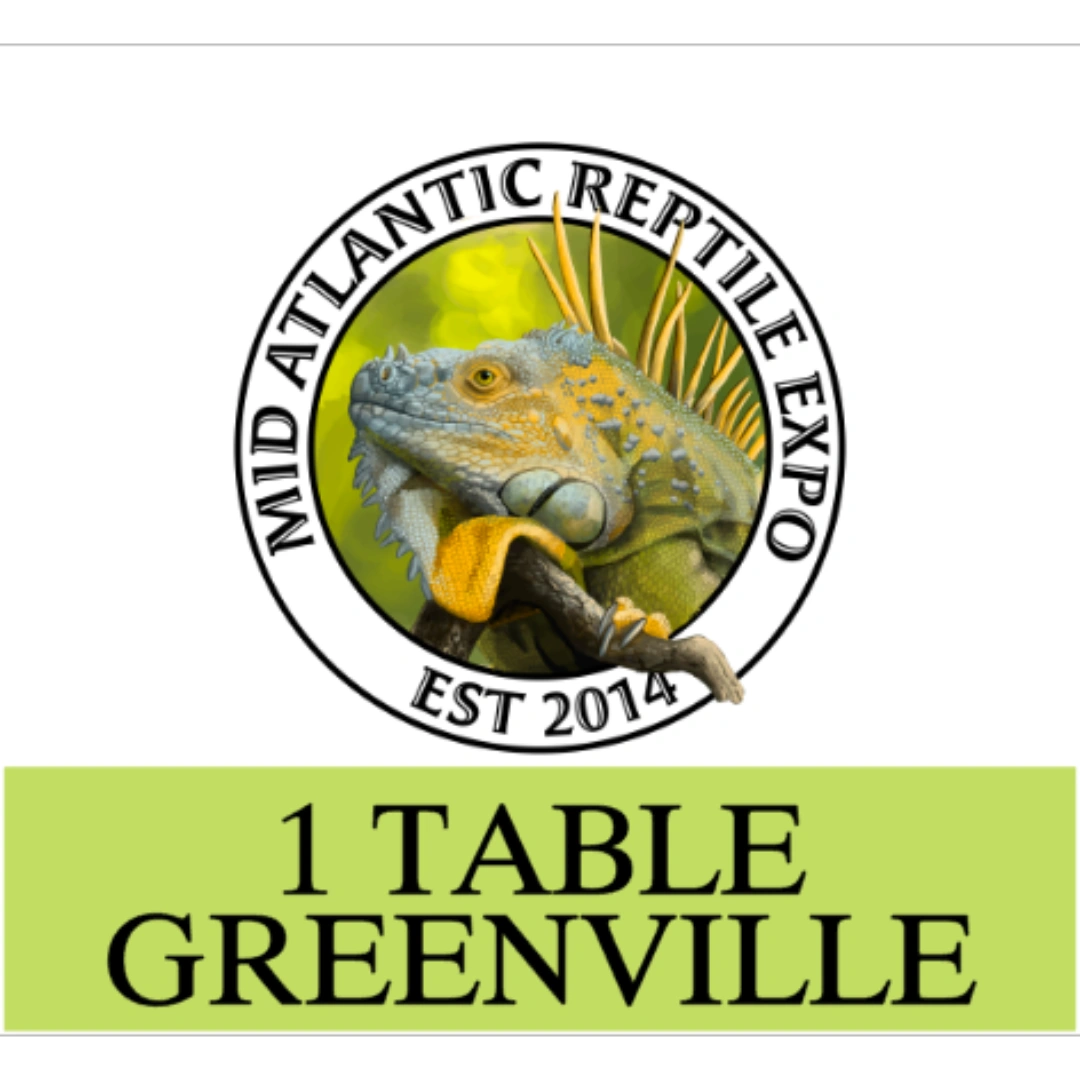 1 VENDOR TABLE GREENVILLE NC MAY 4th