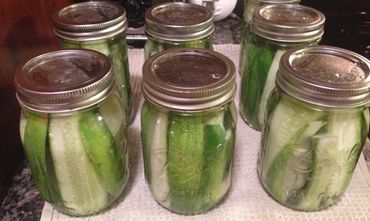 Dill Pickles