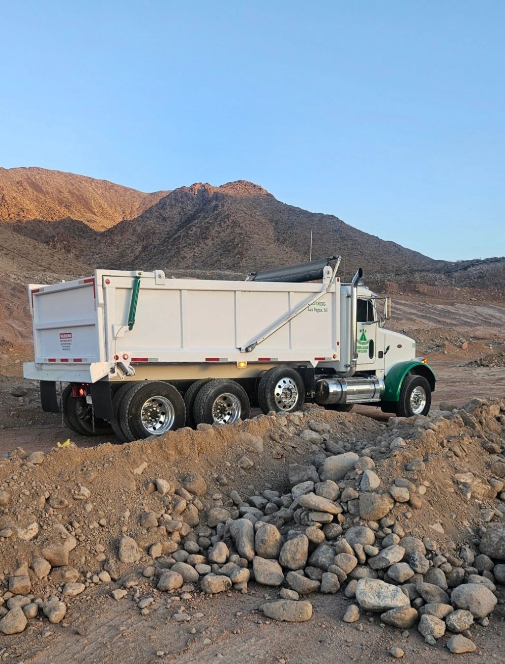 Professional Trucking Transportation Services