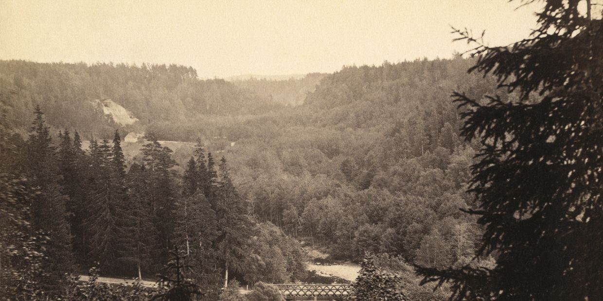 Sepia-toned photo of a dense forest valley with a small bridge and a road.