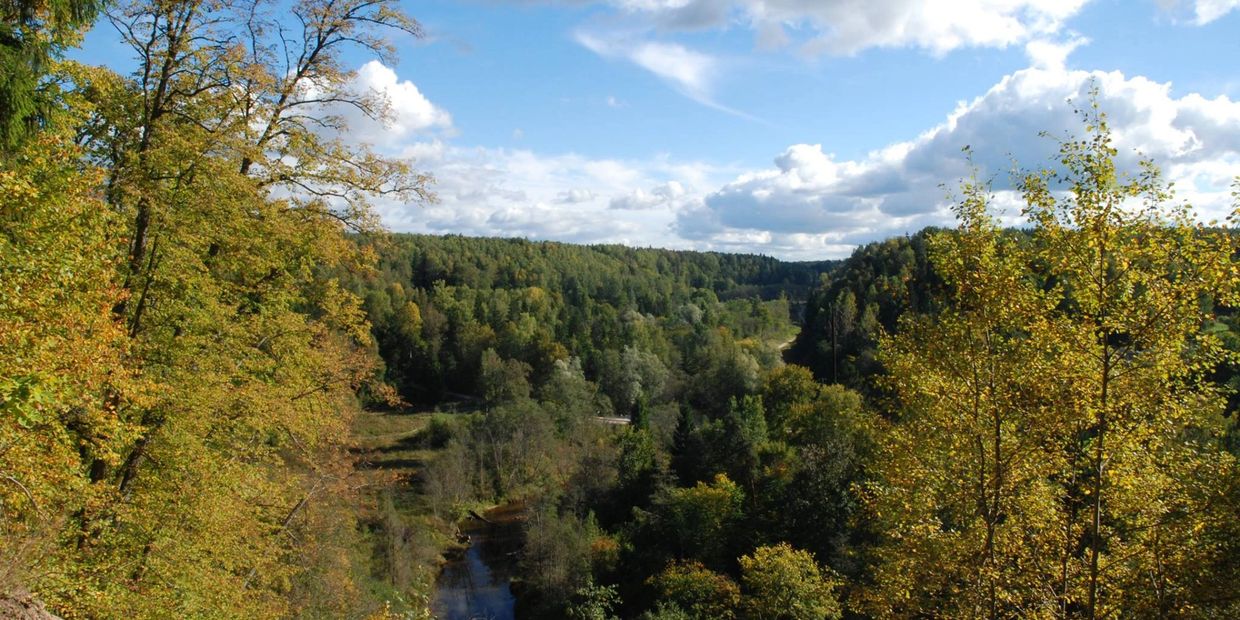 A scenic forest landscape with a river winding through autumn-colored trees under a partly cloudy sky.