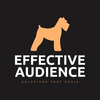 Effective Audience 