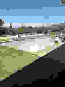 image516