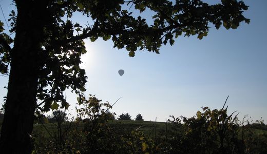 Midwest Ballooning Adventures Chicago, IL