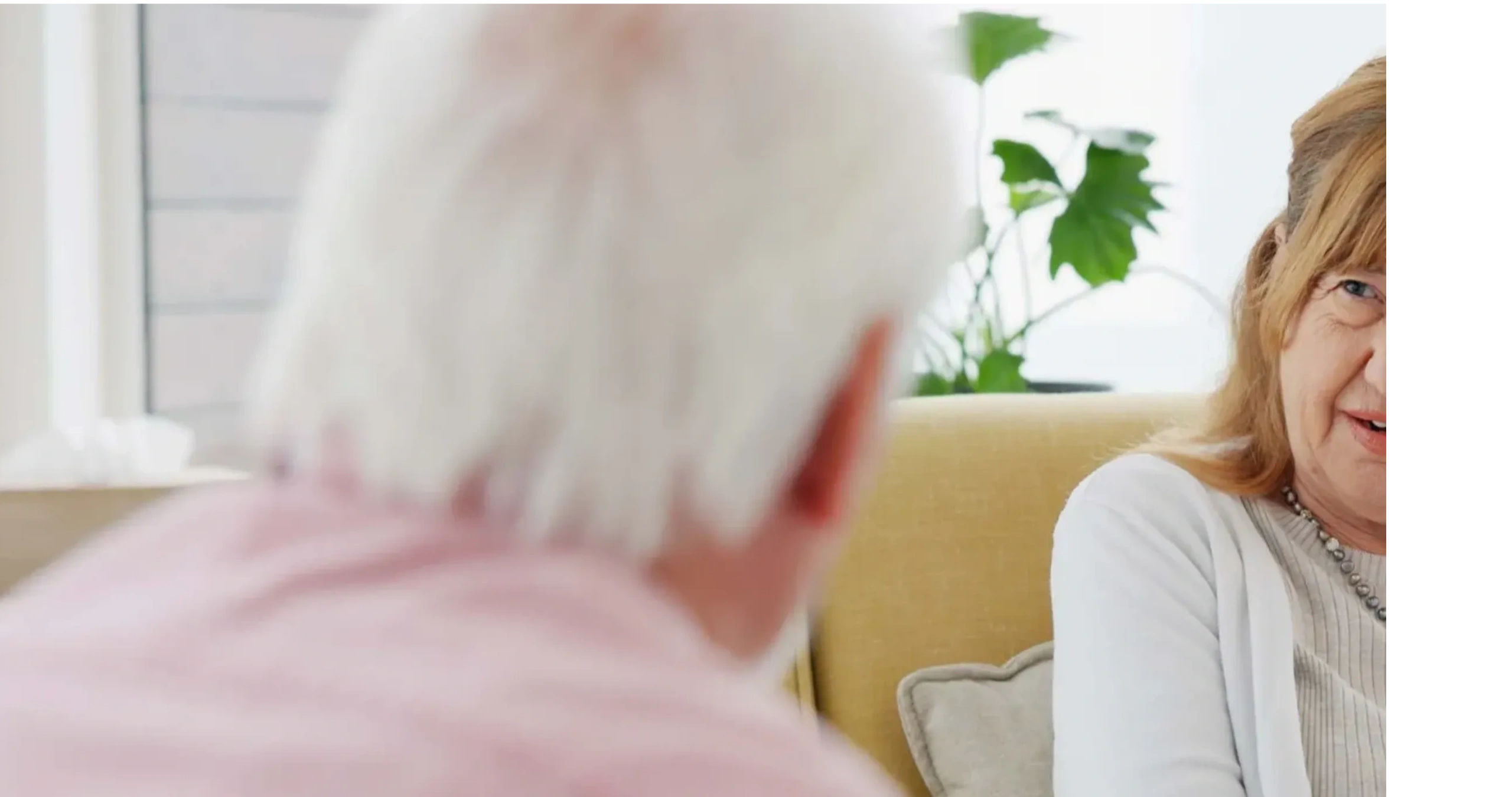 Older people receiving grief and loss counselling