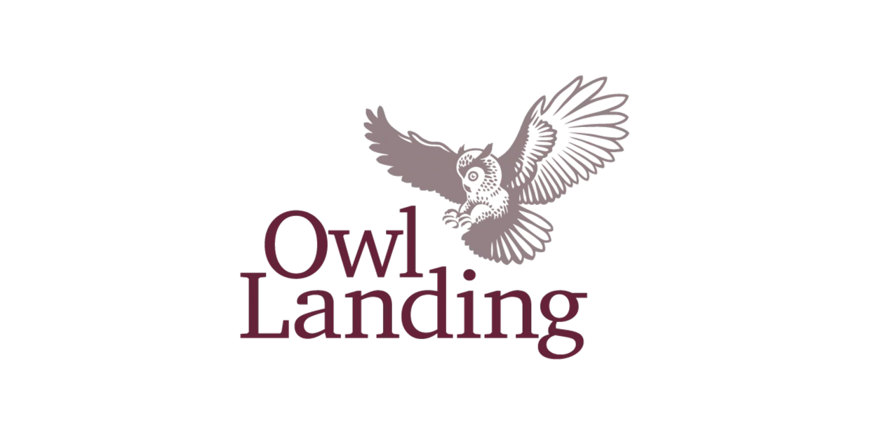 An owl preparing to land.