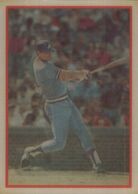 1987 Sportflics