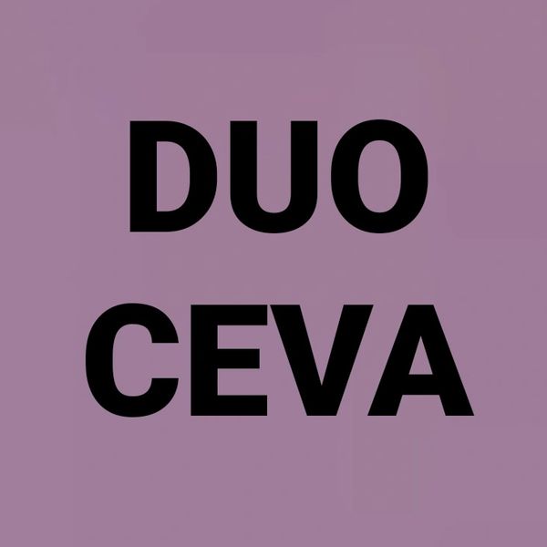 DUO CEVA - professionelles Streichmusik Duo: Cello - Ilya Andrianov, Viola - Nadin Andrianova