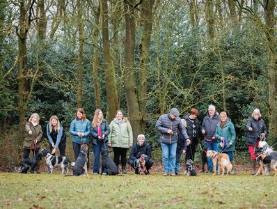 Group of people with dogs in a park.