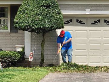 trimming shrubs and trees
