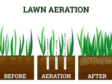 Diagram illustrating lawn aeration process.