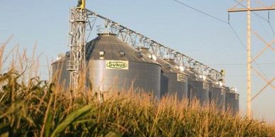 Five bin Sukup grain site with grain handling option going across the top, wheat field in foreground