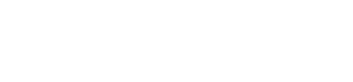 Tampa Dock & Seawall