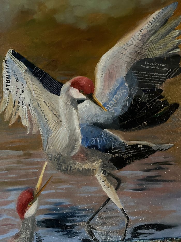 Sandhill Crane taking off.