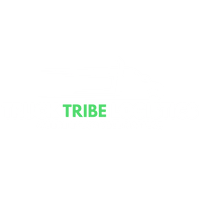Truck Tribe Logistics