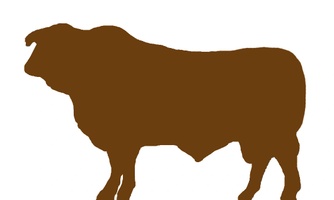 Barzona Breeders Association