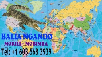 BALIA NGANDO INTERNATIONAL