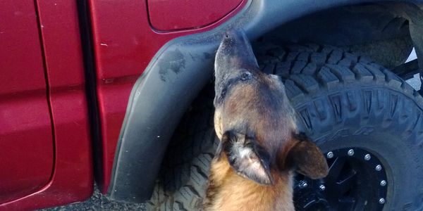 Drug dog finds stash inside gas cap of truck.
