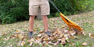Leaf Removal in Avon and Brownsburg Indiana.