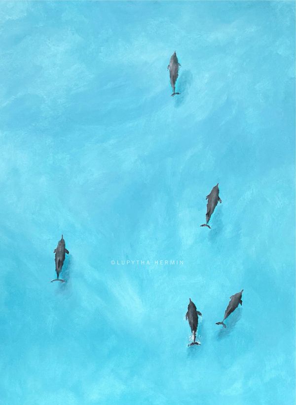 Dolphins painting