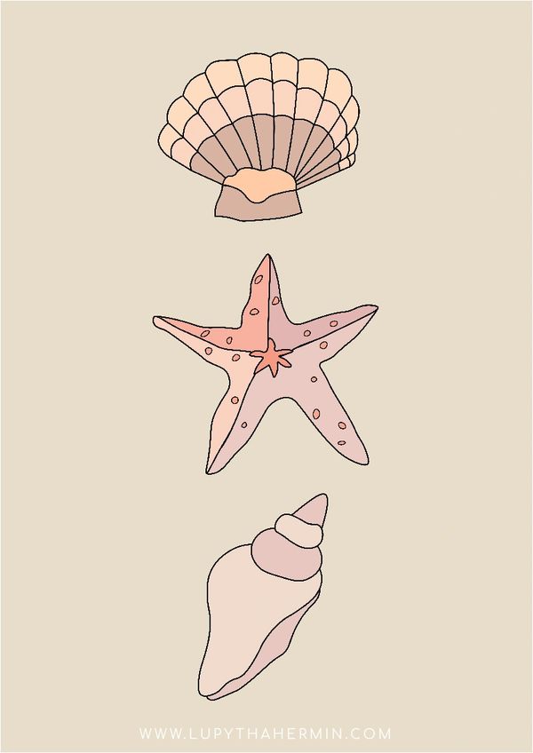 Seashells